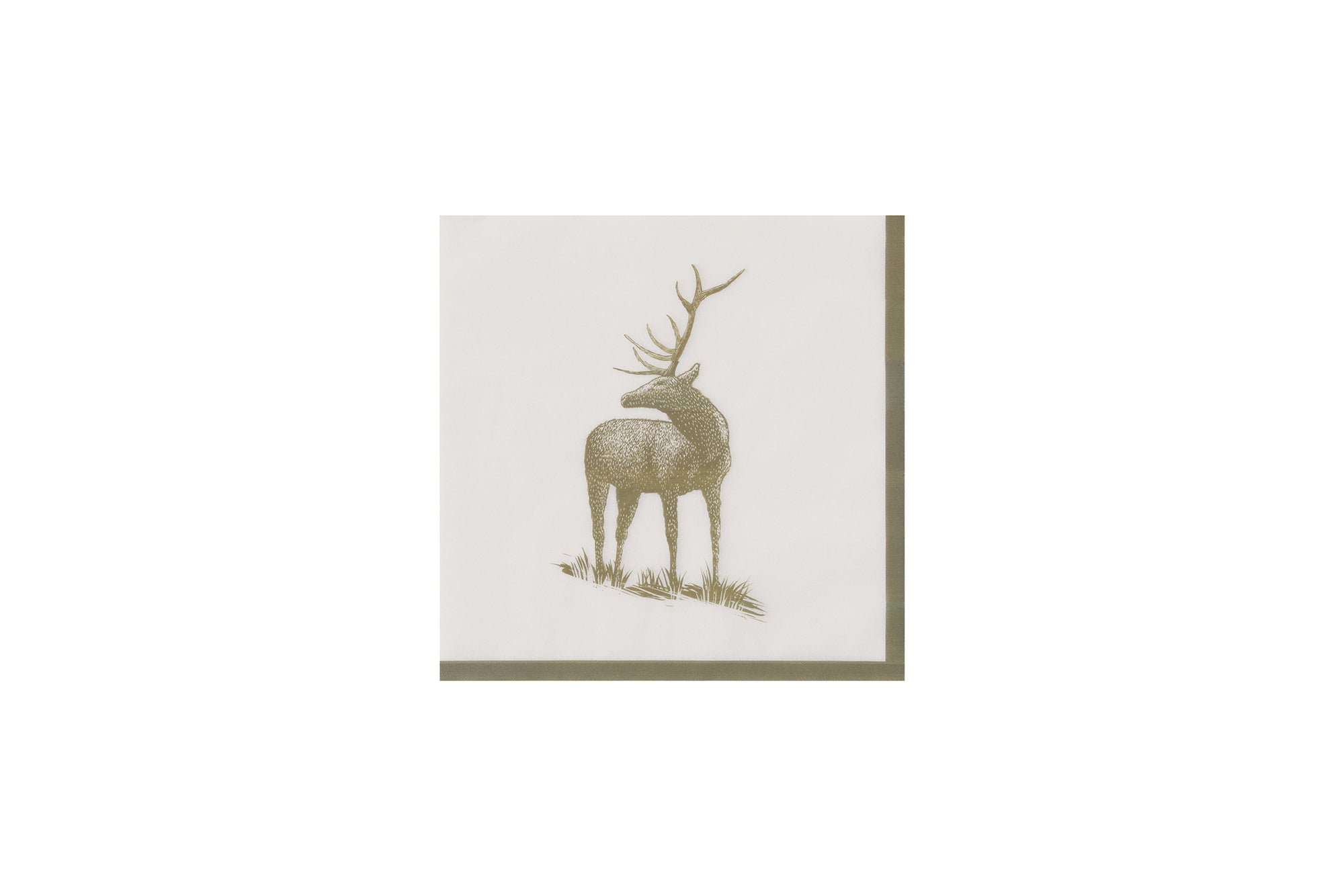 Evergreen Napkin x16