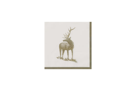 Evergreen Napkin x16